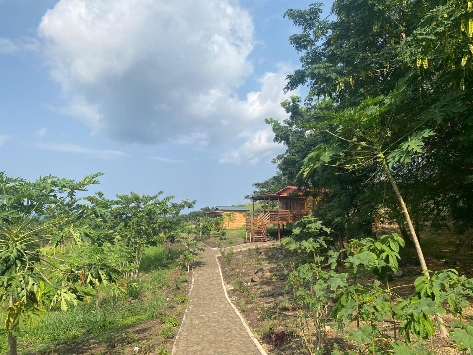 Monte Mar Saotome Vila Morro Peixe Exterior foto